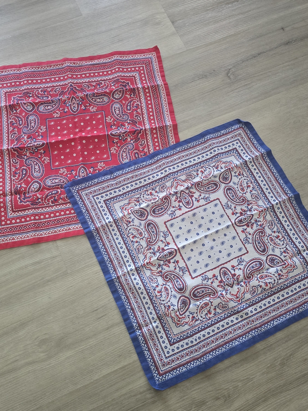 World Market | 2-piece Red & Blue Paisley Bandana